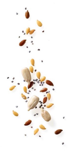 Photo de graines diverses