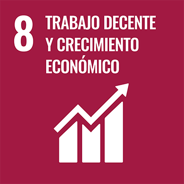 8 TRABAJO DECENTE Y CRECIMIENTO ECONÓMICO