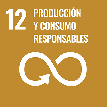 12 PRODUCCIÓN Y CONSUMO RESPONSABLES