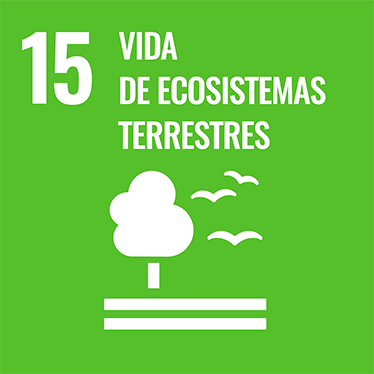 15 VIDA DE ECOSISTEMAS TERRESTRES